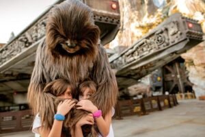 Orlando- Walt Disney World Tickets – 1 Park per Day 3