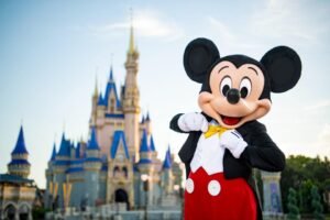 Orlando- Walt Disney World Tickets – 1 Park per Day