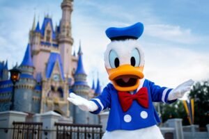 Orlando- Walt Disney World Tickets – 1 Park per Day 4
